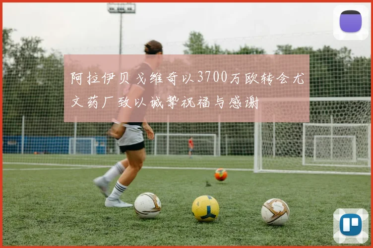 阿拉伊贝戈维奇以3700万欧转会尤文药厂致以诚挚祝福与感谢