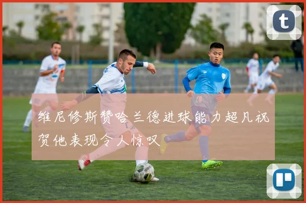 维尼修斯赞哈兰德进球能力超凡祝贺他表现令人惊叹